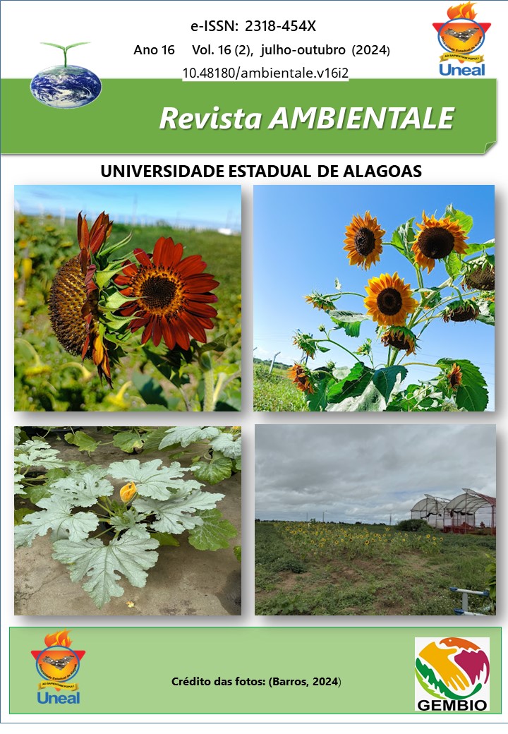 					Ver Vol. 16 N.º 2 (2024): Revista Ambientale
				